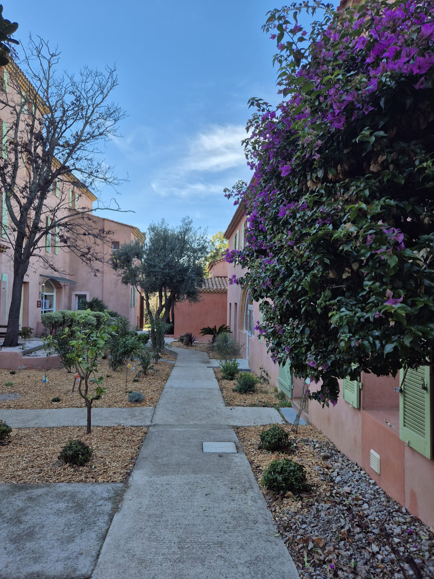 Description of the image